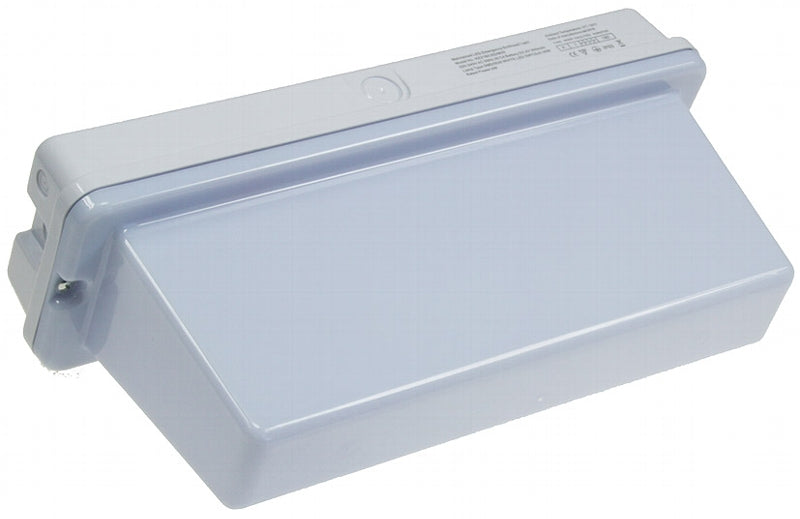 LED Fluchtwegleuchte "NL-D2" 30 LEDs Erkennungsw. 25m, Deckenmontage, IP65