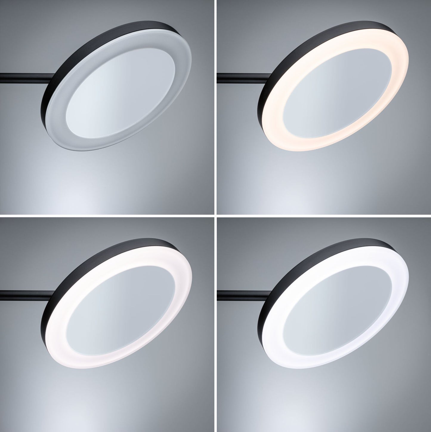 Paulmann LED Kosmetikspiegel Masua IP44 White Switch 55lm 230V 4W Schwarz matt