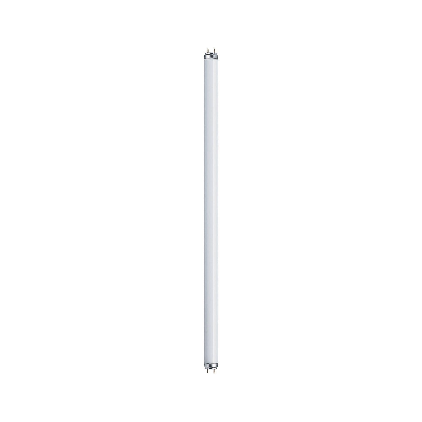 Paulmann Leuchtstofflampe T8 18W G13 604mm Warmweiß