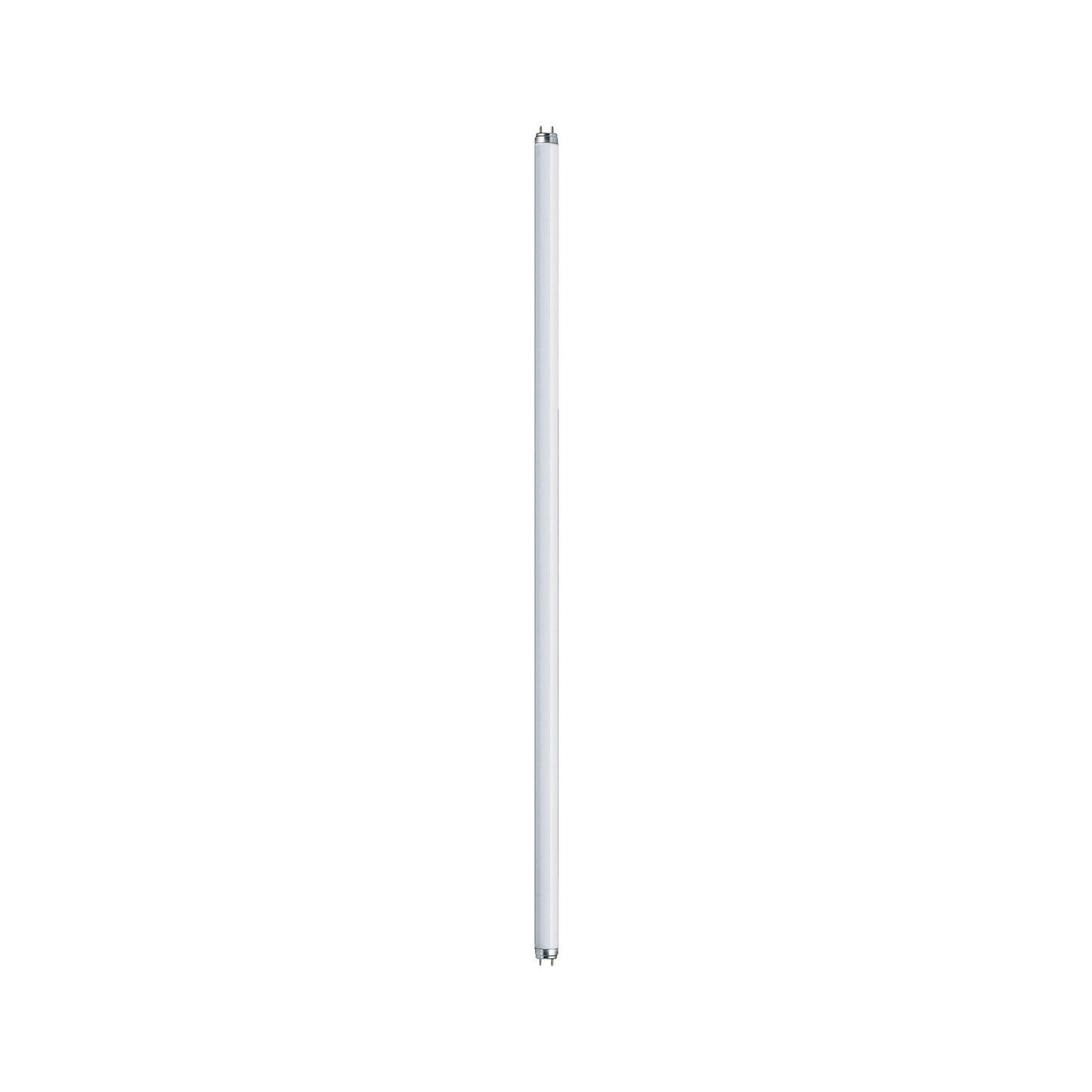 Paulmann Leuchtstofflampe T8 30W G13 895mm Tageslichtweiß