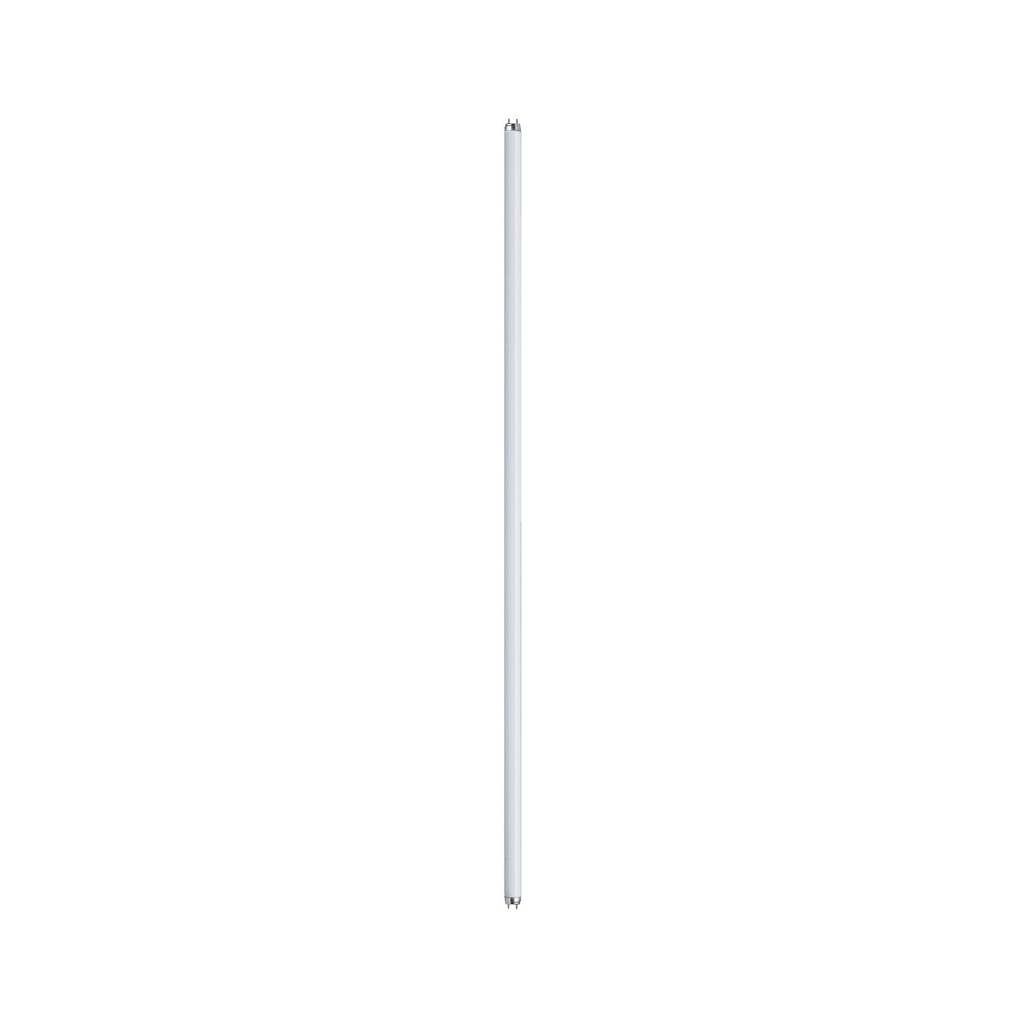 Paulmann Leuchtstofflampe T8 36W G13 1200mm Neutralweiß