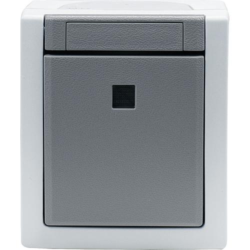 Pacific FR Wechselschalter beleuchtet grau 90591063-DE