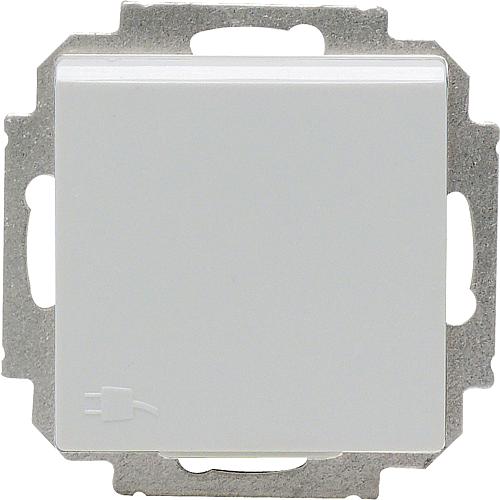 V55 Kombisteckdose reinw. mit Deckel