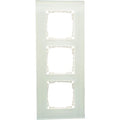 V55 Glasrahmen 3-fach mint