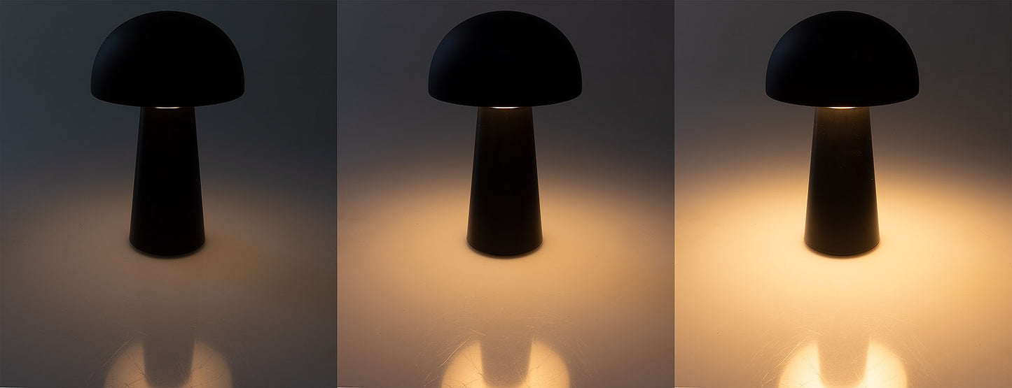 LED Akku-Tischleuchte "Foco Seta" 3000K, IP20, TouchDim, 23cm,matt schwarz