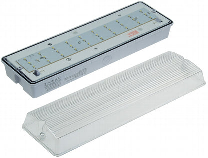 LED Fluchtwegleuchte "NL-W1" 30 LEDs Erkennungsw. 25m,Wandmontage, IP65