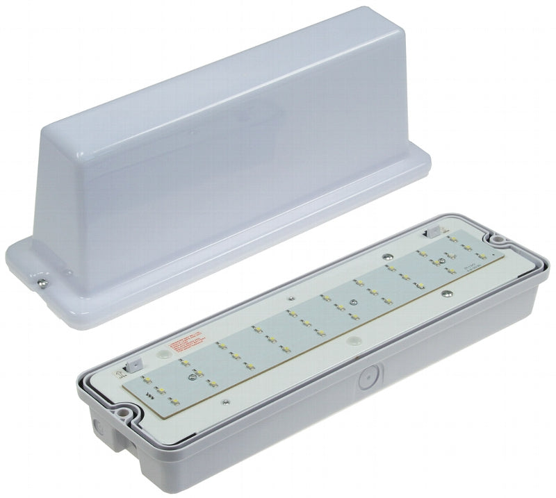 LED Fluchtwegleuchte "NL-D2" 30 LEDs Erkennungsw. 25m, Deckenmontage, IP65