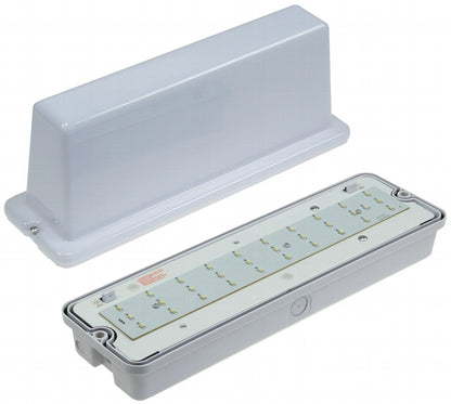 LED Fluchtwegleuchte "NL-D2" 30 LEDs Erkennungsw. 25m, Deckenmontage, IP65