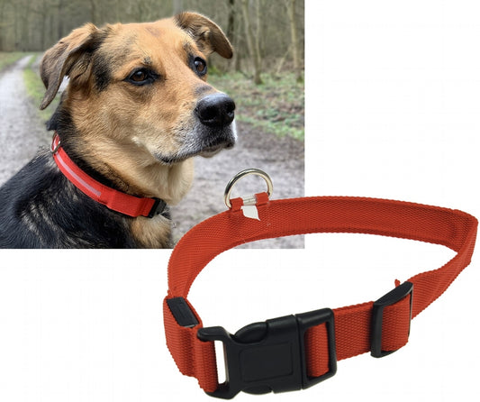 Hunde-Halsband leuchtend mit LED 45-52cm, Größe L, rot