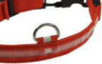 Hunde-Halsband leuchtend mit LED 45-52cm, Größe L, rot