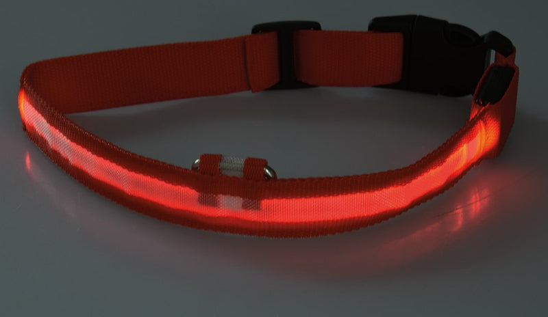 Hunde-Halsband leuchtend mit LED 52-60cm, Größe XL, rot