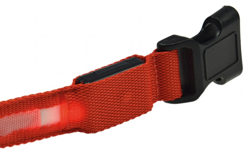 Hunde-Halsband leuchtend mit LED 52-60cm, Größe XL, rot