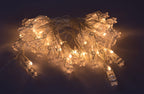 LED Lichterkette mit 40 Foto-Clips warmweiß, transp. Kabel, Batteriebetrieb