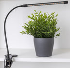 LED Pflanzenlampe "CT-PFL" Rot+Blau 1-fach, Klemmhalter, Kabel-Fernbedienung