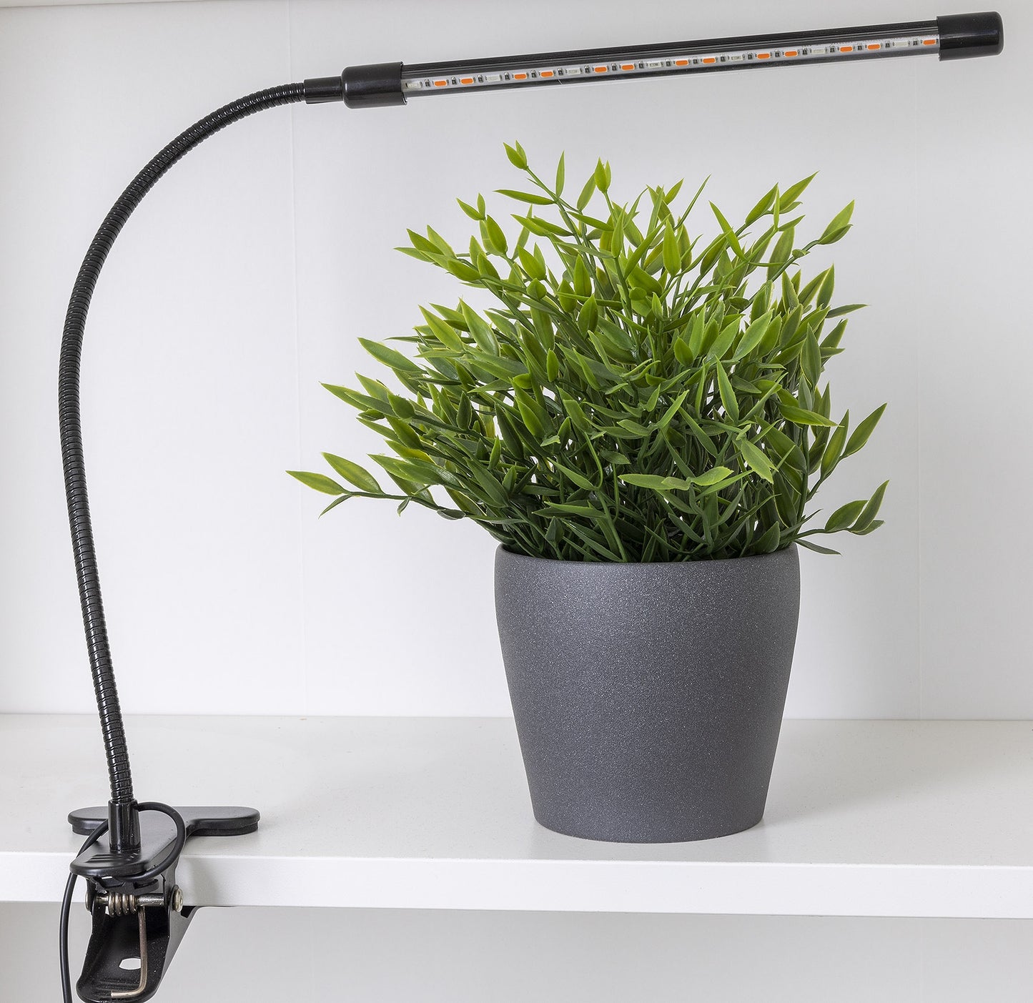 LED Pflanzenlampe "CT-PFL" Rot+Blau 1-fach, Klemmhalter, Kabel-Fernbedienung