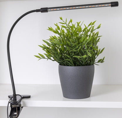 LED Pflanzenlampe "CT-PFL" Rot+Blau 1-fach, Klemmhalter, Kabel-Fernbedienung