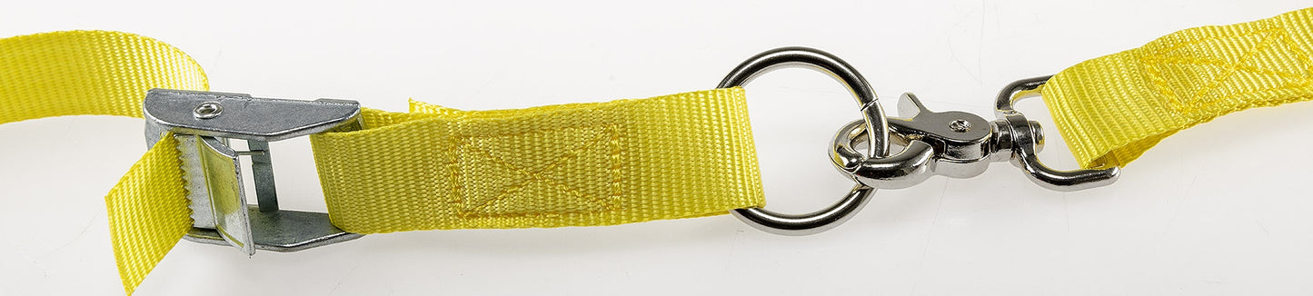 PEREL Spanngurt mit Ratschenschloss 1,5m mit Öse, Karabiner