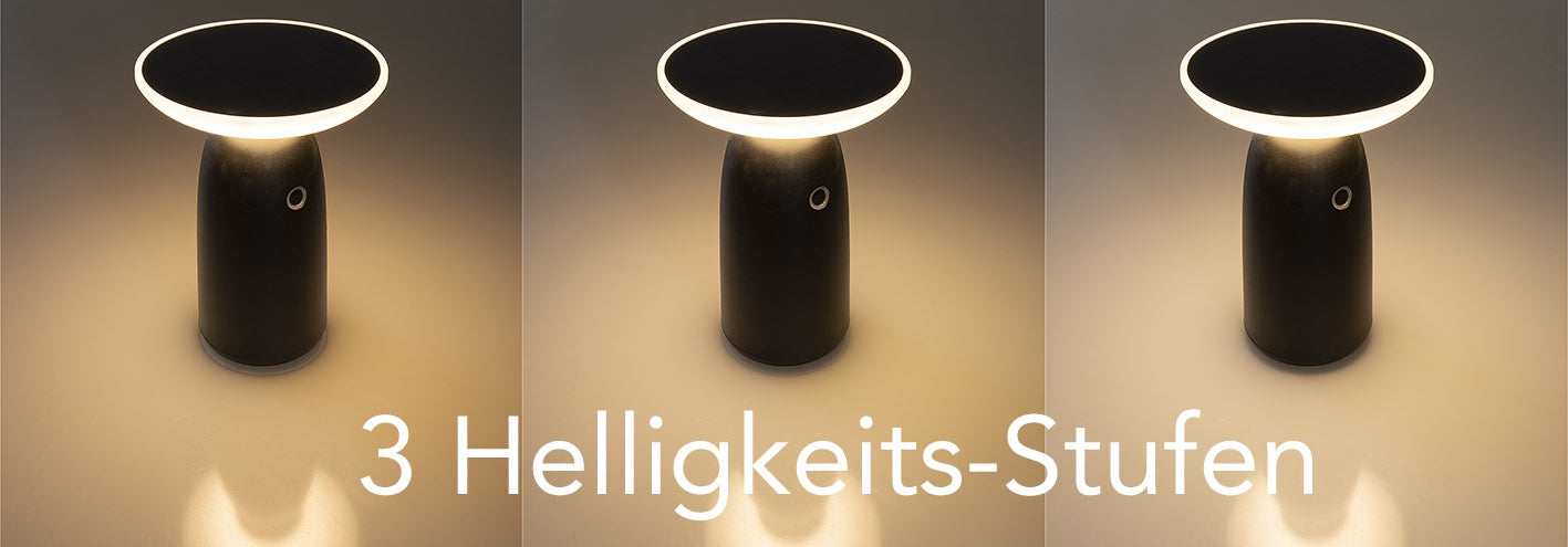 Funk-Fernbedienung "Pilota Porta" für PIR Sensor und Magnetkontakt
