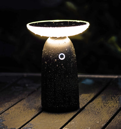 Funk-Fernbedienung "Pilota Porta" für PIR Sensor und Magnetkontakt