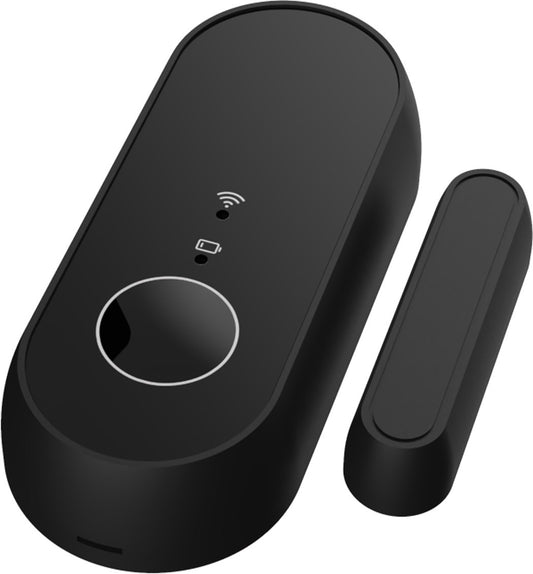 Funk Magnetkontakt "Pilota Casa"  IP55 Batteriebetrieb, max. 30m