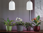 Paulmann LED R63 Pflanzenlicht 4,5W E27 230V