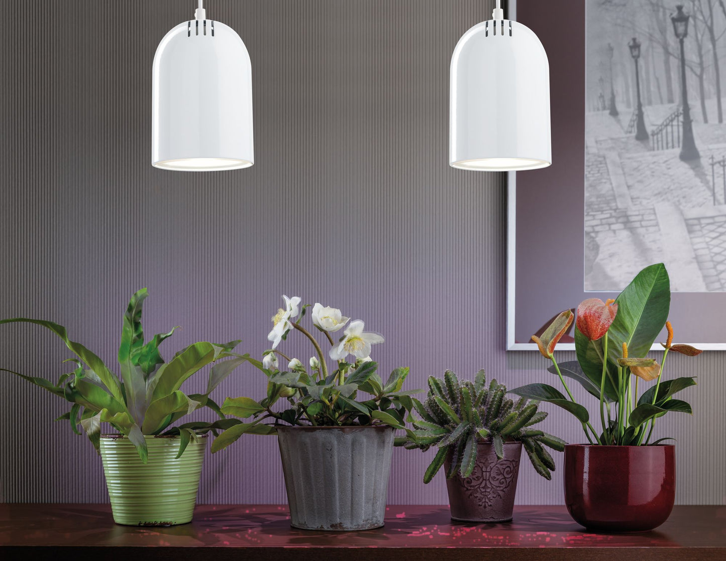 Paulmann LED R63 Pflanzenlicht 4,5W E27 230V