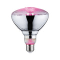 Paulmann LED Fil Plant PAR38 E27 6,5W 230V