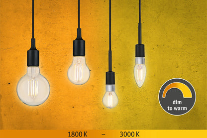 Paulmann LED Fil Kerze 470lm E14 5W dim to warm 1800-3000K 230V