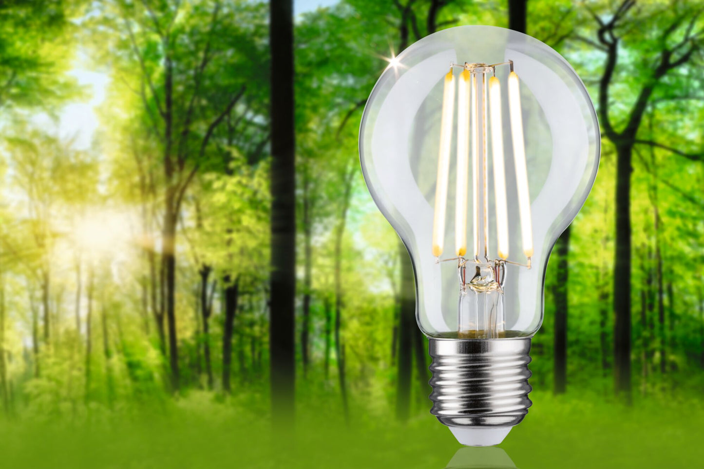 Paulmann Eco-Line Filament 230V LED Birne 1er-Set 525lm 2,5W 3000K  Klar