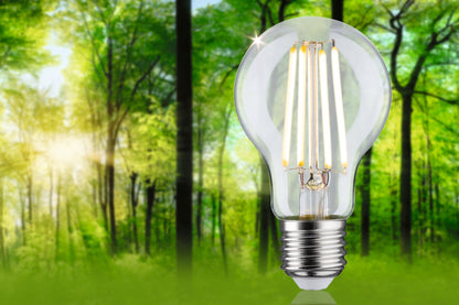 Paulmann Eco-Line Filament 230V LED Birne 1er-Set 525lm 2,5W 3000K  Klar