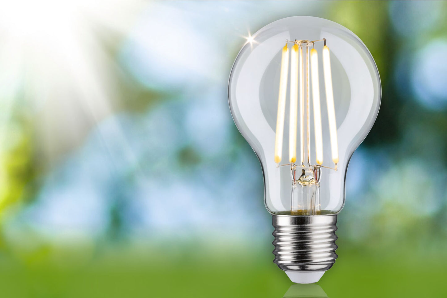 Paulmann Eco-Line Filament 230V LED Birne 1er-Set 525lm 2,5W 3000K  Klar