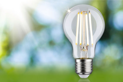 Paulmann Eco-Line Filament 230V LED Birne 1er-Set 525lm 2,5W 3000K  Klar