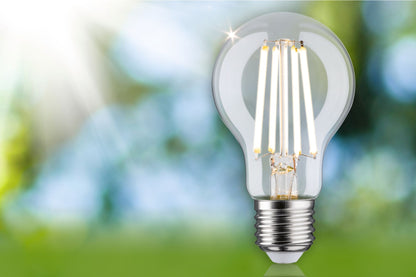 Paulmann Eco-Line Filament 230V LED Birne 1er-Set 840lm 4W 3000K  Klar