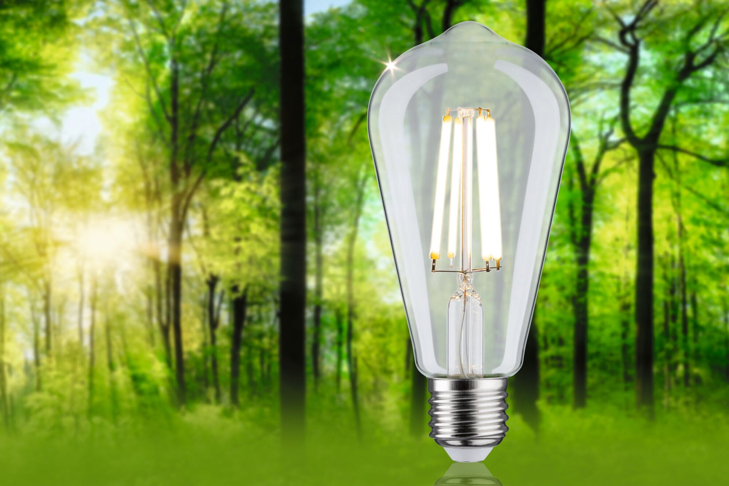 Paulmann Eco-Line Filament 230V LED Kolben 840lm 4W 3000K  Klar