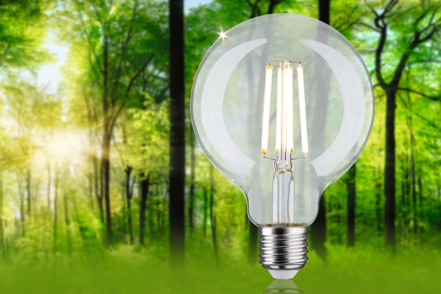 Paulmann Eco-Line Filament 230V LED Globe 840lm 4W 3000K  Klar