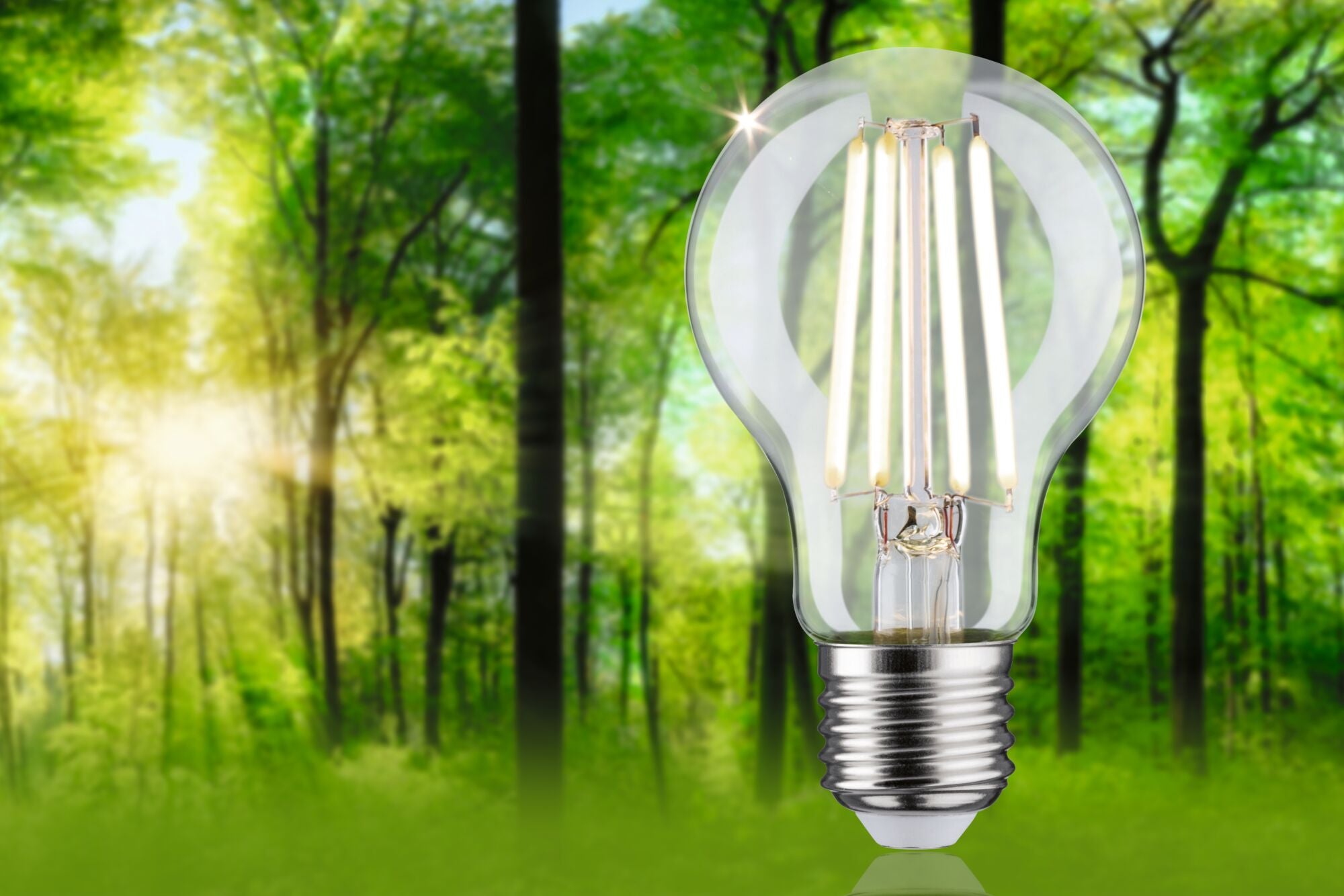 Paulmann Eco-Line Filament 230V LED Birne 1er-Set 525lm 2,5W 4000K  Klar