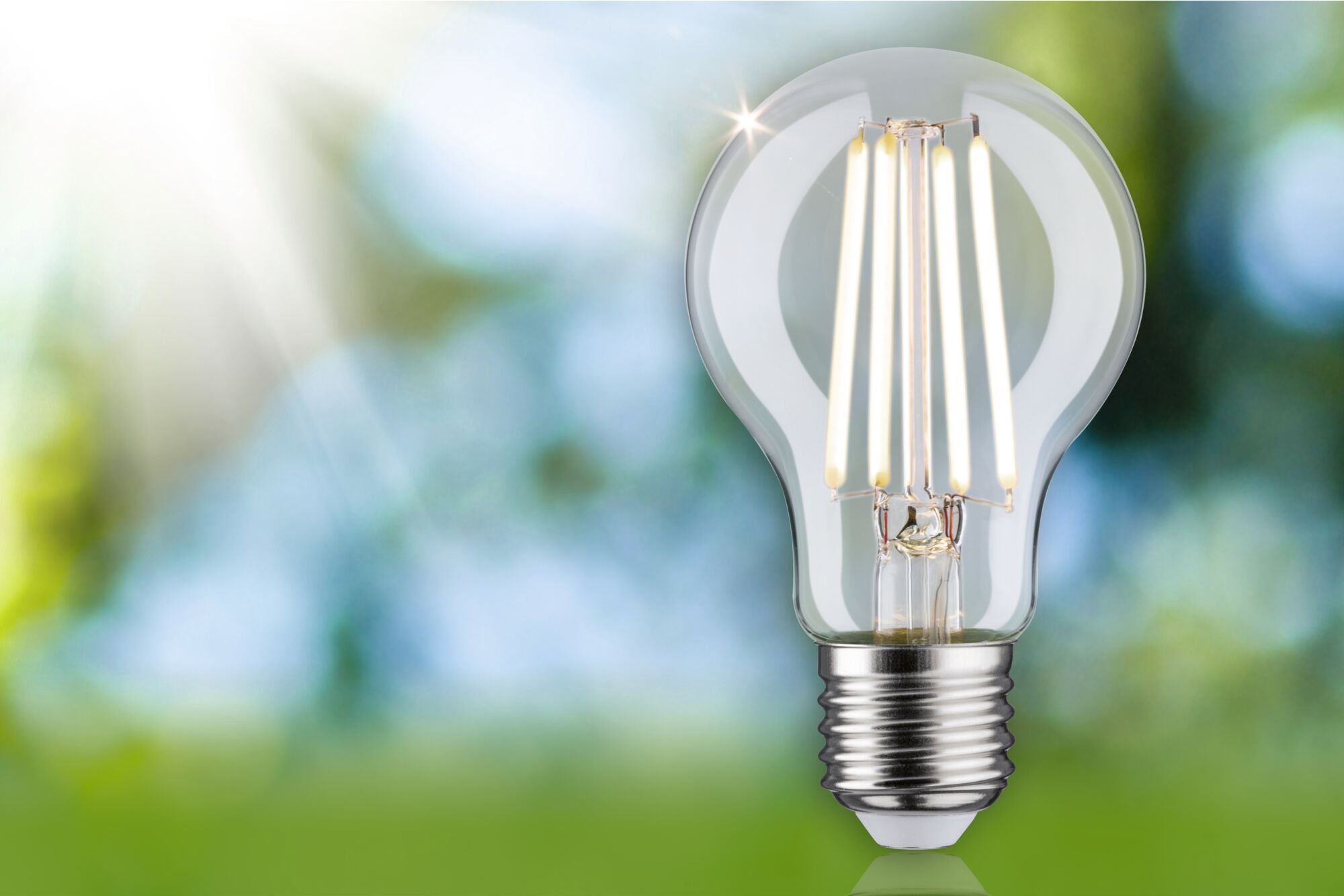 Paulmann Eco-Line Filament 230V LED Birne 1er-Set 525lm 2,5W 4000K  Klar