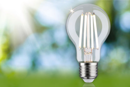 Paulmann Eco-Line Filament 230V LED Birne 1er-Set 840lm 4W 4000K  Klar