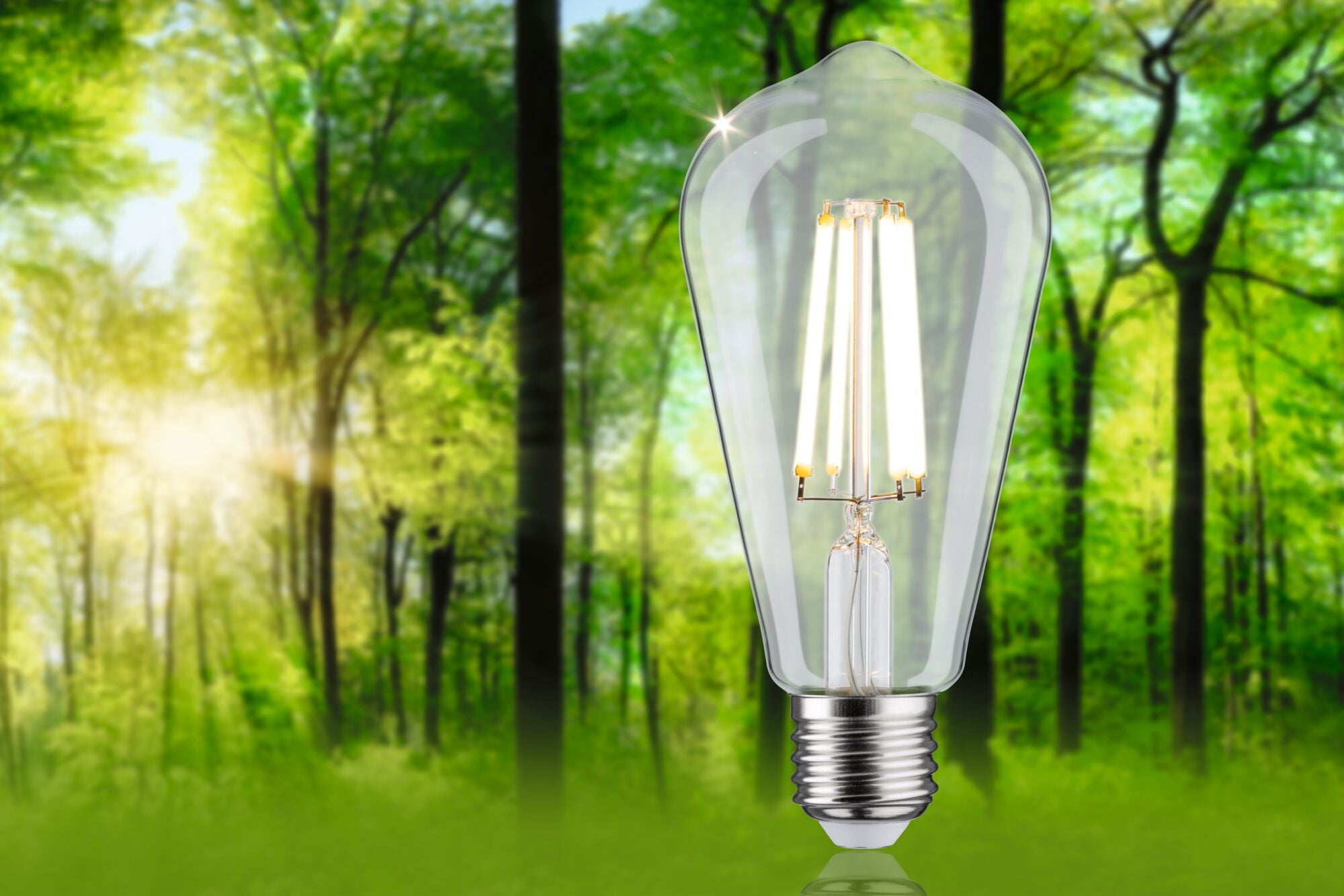 Paulmann Eco-Line Filament 230V LED Kolben 840lm 4W 4000K  Klar
