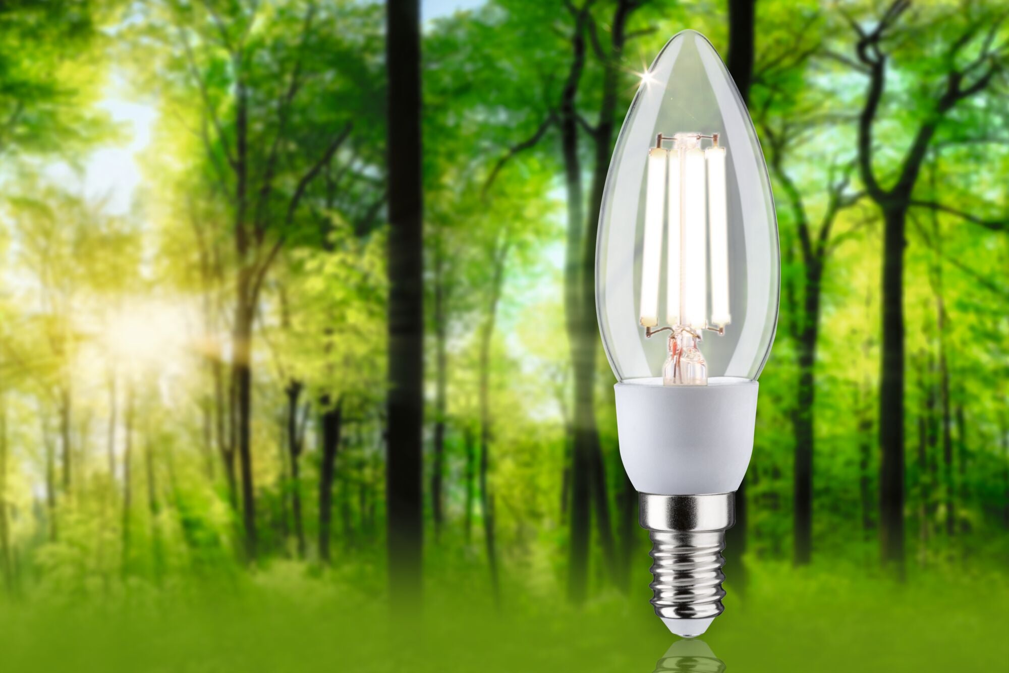 Paulmann Eco-Line Filament 230V LED Kerze 525lm 2,5W 4000K  Klar
