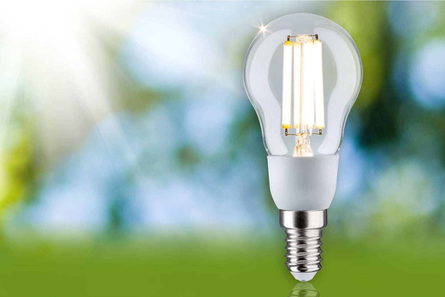 Paulmann Eco-Line Filament 230V LED Tropfen 1er-Set  100mm 525lm 2,5W 3000K  Klar
