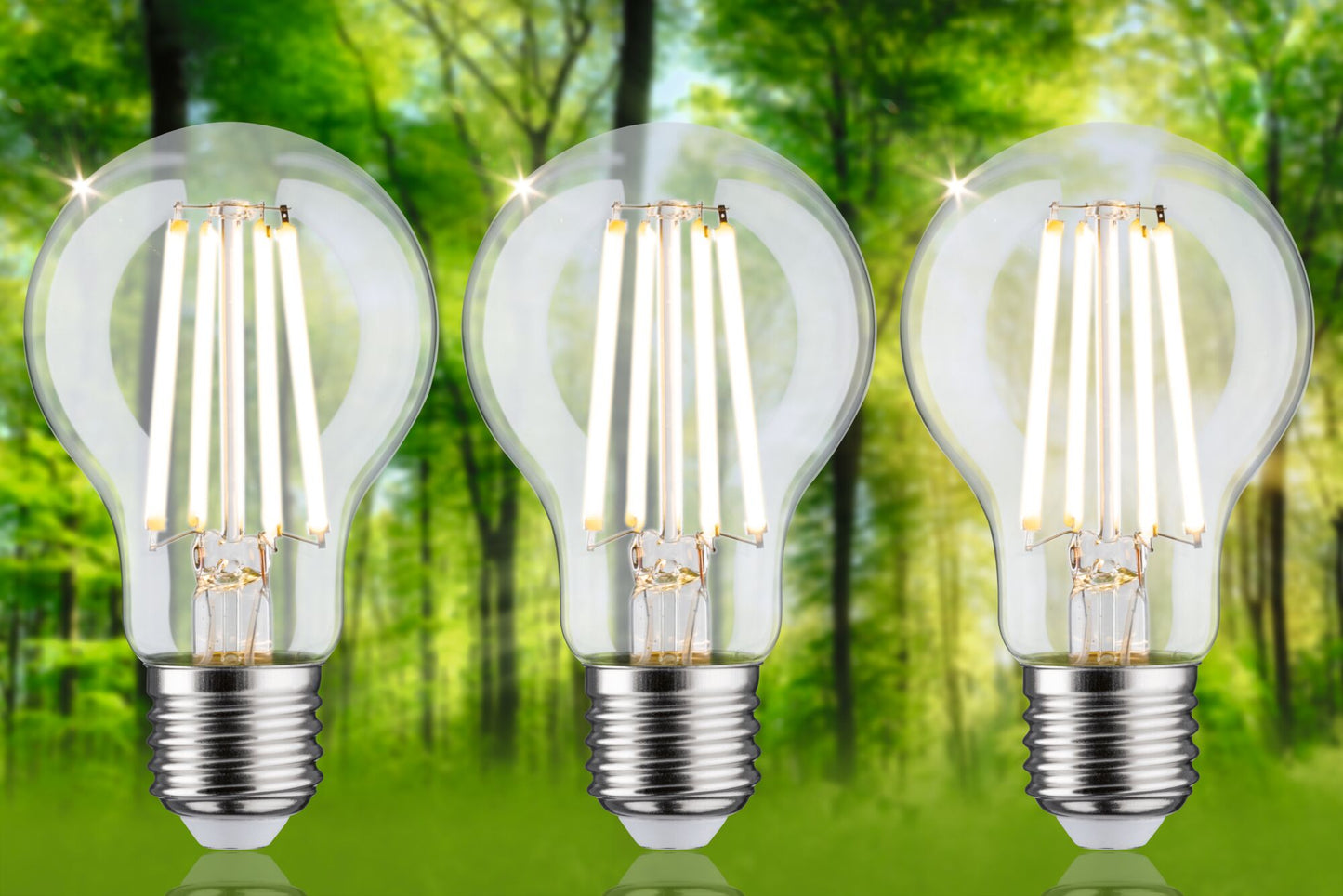Paulmann Eco-Line Filament 230V LED Birne 3er-Set 3x840lm 3x4W 3000K  Klar