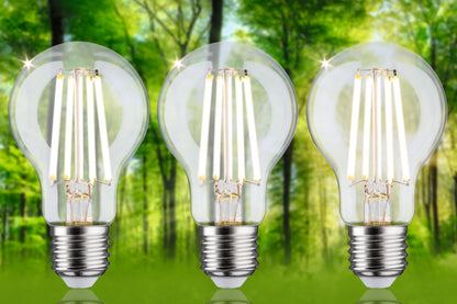 Paulmann Eco-Line Filament 230V LED Birne 3er-Set 3x840lm 3x4W 3000K  Klar