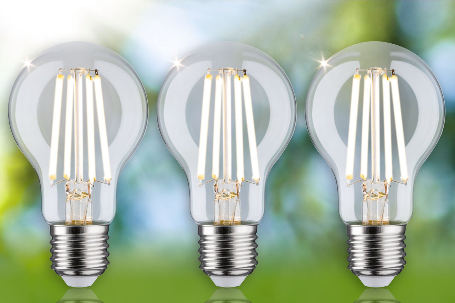 Paulmann Eco-Line Filament 230V LED Birne 3er-Set 3x840lm 3x4W 3000K  Klar
