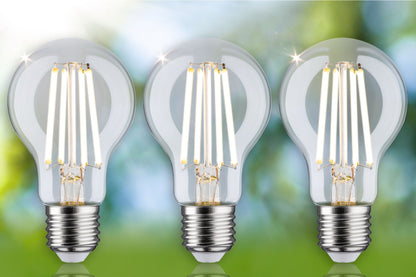 Paulmann Eco-Line Filament 230V LED Birne 3er-Set 3x840lm 3x4W 3000K  Klar