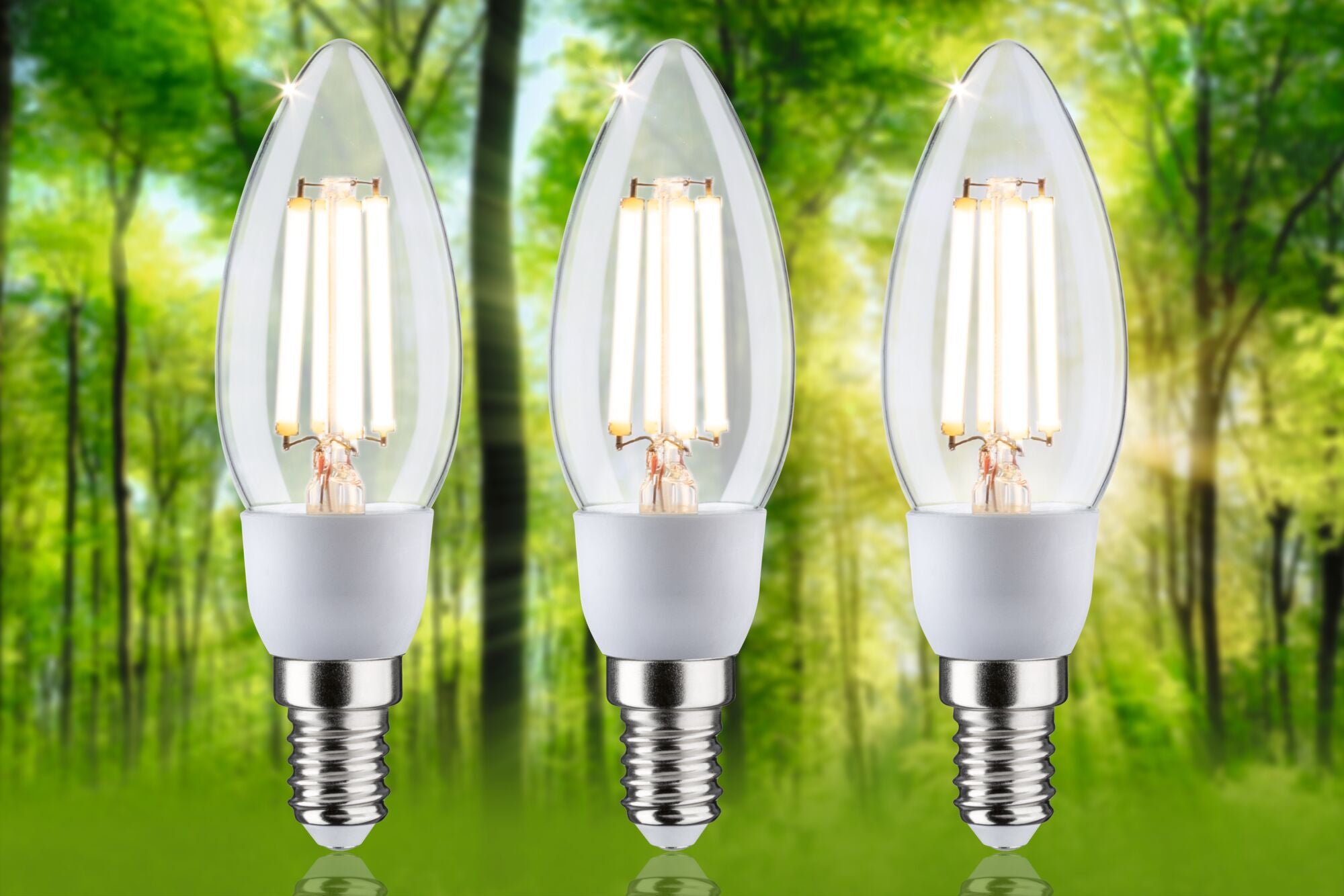 Paulmann Eco-Line Filament 230V LED Kerze 3x525lm 3x2,5W 3000K  Klar