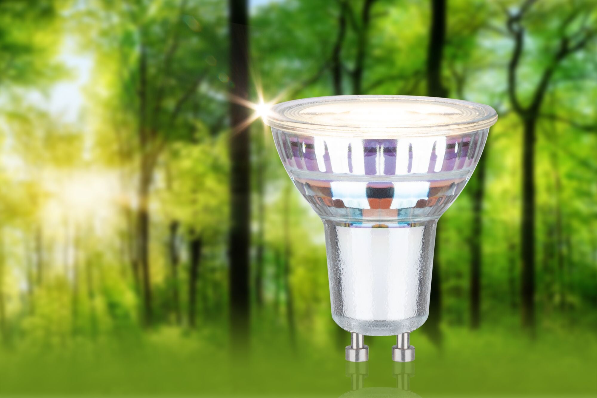 Paulmann Eco-Line Standard 230V LED Reflektor 1er-Set 450lm 2,5W 3000K  Silber