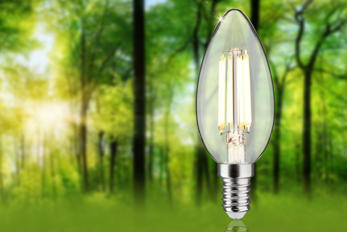 Paulmann Eco-Line Filament 230V LED Kerze 1er-Set  98mm 525lm 2,5W 3000K  Klar