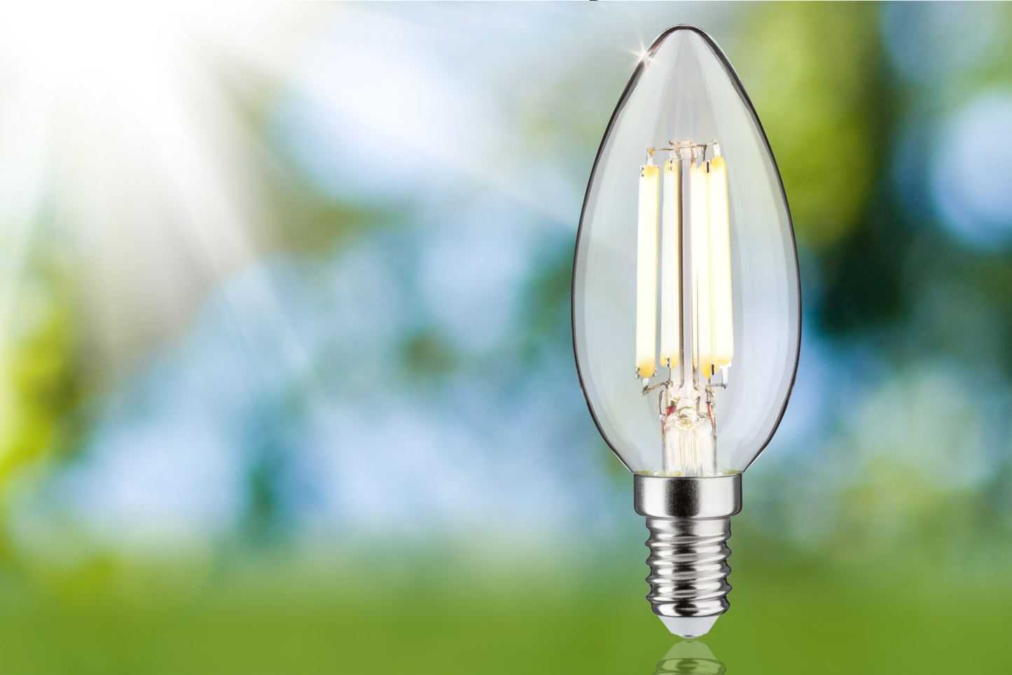Paulmann Eco-Line Filament 230V LED Kerze 1er-Set  98mm 525lm 2,5W 3000K  Klar