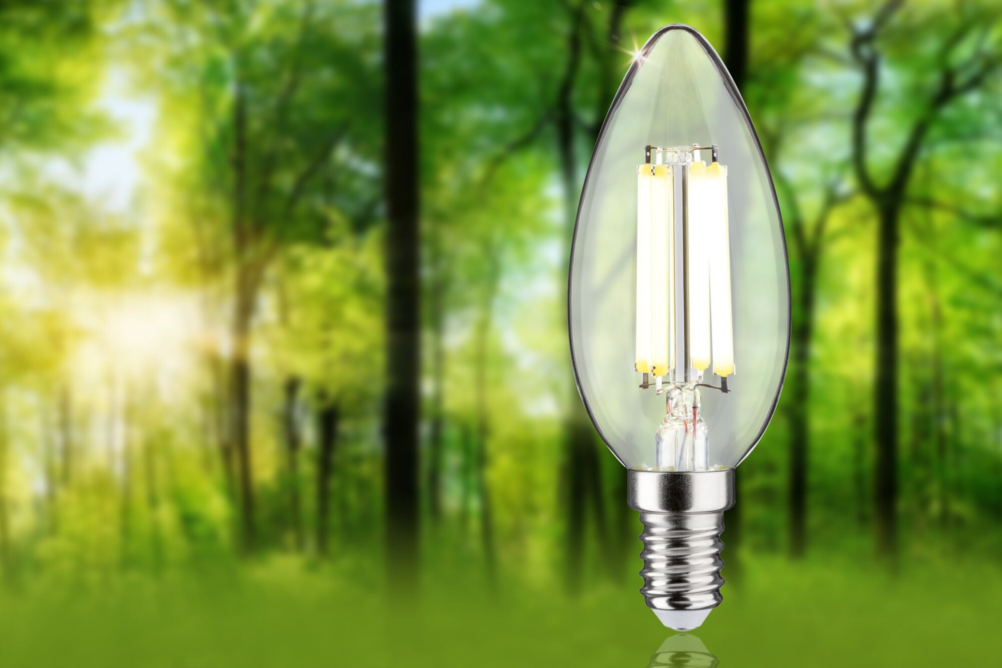 Paulmann Eco-Line Filament 230V LED Kerze 1er-Set  98mm 525lm 2,5W 4000K  Klar